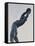 Discus Thrower-Konstantin Dimitriadis-Framed Stretched Canvas