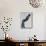 Discus Thrower-Konstantin Dimitriadis-Mounted Photographic Print displayed on a wall