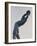 Discus Thrower-Konstantin Dimitriadis-Framed Photographic Print