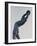 Discus Thrower-Konstantin Dimitriadis-Framed Photographic Print