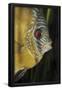 Essential Black