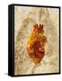 Diseased Heart-Mehau Kulyk-Framed Stretched Canvas