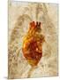 Diseased Heart-Mehau Kulyk-Mounted Photographic Print