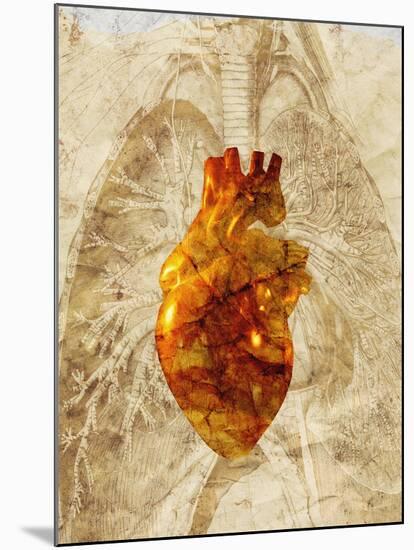 Diseased Heart-Mehau Kulyk-Mounted Photographic Print