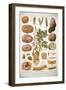 Diseases of the Potato, C1920-null-Framed Premium Giclee Print