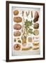 Diseases of the Potato, C1920-null-Framed Giclee Print