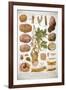 Diseases of the Potato, C1920-null-Framed Giclee Print