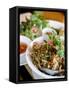 Dish at the Cyclo Vietnamese Restaurant, Munich, Germany-Yadid Levy-Framed Stretched Canvas