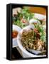 Dish at the Cyclo Vietnamese Restaurant, Munich, Germany-Yadid Levy-Framed Stretched Canvas