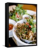 Dish at the Cyclo Vietnamese Restaurant, Munich, Germany-Yadid Levy-Framed Stretched Canvas