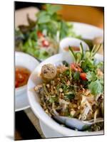 Dish at the Cyclo Vietnamese Restaurant, Munich, Germany-Yadid Levy-Mounted Photographic Print