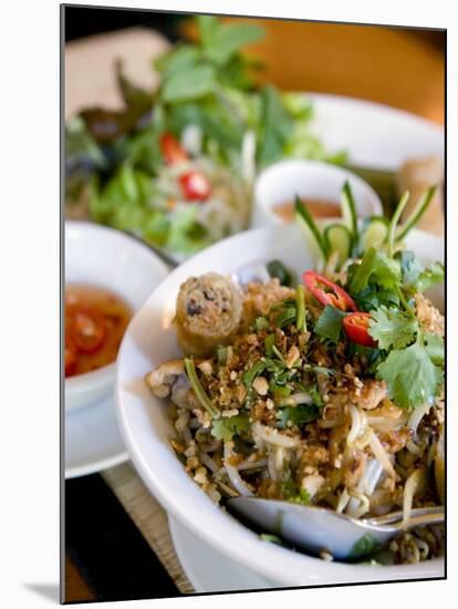Dish at the Cyclo Vietnamese Restaurant, Munich, Germany-Yadid Levy-Mounted Photographic Print