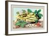 Dish of Broad Beans-Giovanna Garzoni-Framed Art Print