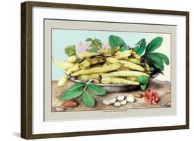 Dish of Broad Beans-Giovanna Garzoni-Framed Art Print