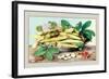 Dish of Broad Beans-Giovanna Garzoni-Framed Art Print