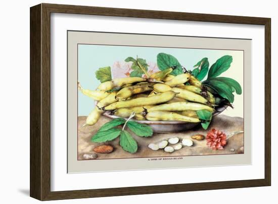 Dish of Broad Beans-Giovanna Garzoni-Framed Art Print