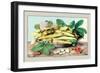 Dish of Broad Beans-Giovanna Garzoni-Framed Art Print