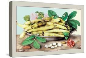 Dish of Broad Beans-Giovanna Garzoni-Stretched Canvas