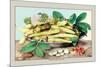 Dish of Broad Beans-Giovanna Garzoni-Mounted Premium Giclee Print