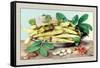 Dish of Broad Beans-Giovanna Garzoni-Framed Stretched Canvas