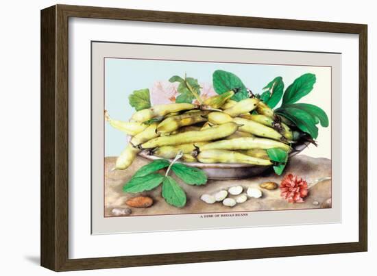 Dish of Broad Beans-Giovanna Garzoni-Framed Art Print