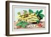 Dish of Broad Beans-Giovanna Garzoni-Framed Art Print