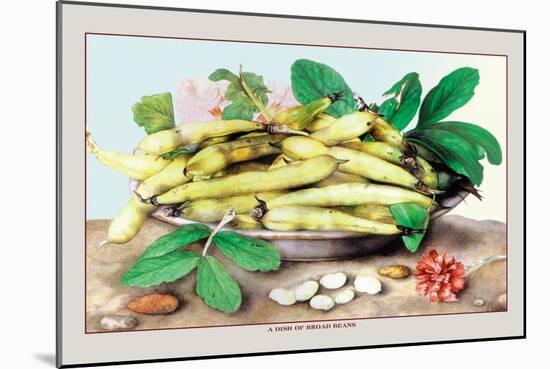 Dish of Broad Beans-Giovanna Garzoni-Mounted Art Print