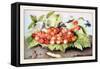 Dish of Cherries with a Bean and a Hornet-Giovanna Garzoni-Framed Stretched Canvas