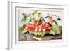 Dish of Cherries with a Bean and a Hornet-Giovanna Garzoni-Framed Art Print