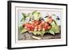 Dish of Cherries with a Bean and a Hornet-Giovanna Garzoni-Framed Art Print