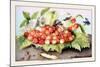 Dish of Cherries with a Bean and a Hornet-Giovanna Garzoni-Mounted Art Print