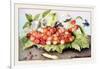 Dish of Cherries with a Bean and a Hornet-Giovanna Garzoni-Framed Art Print