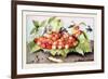 Dish of Cherries with a Bean and a Hornet-Giovanna Garzoni-Framed Premium Giclee Print