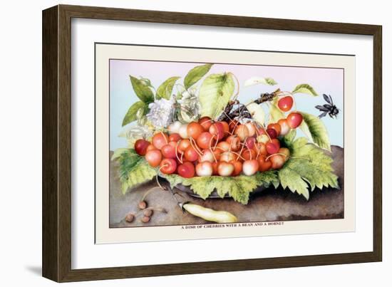 Dish of Cherries with a Bean and a Hornet-Giovanna Garzoni-Framed Art Print