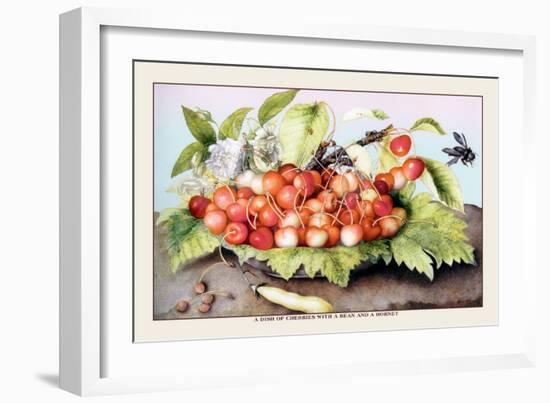 Dish of Cherries with a Bean and a Hornet-Giovanna Garzoni-Framed Art Print