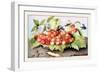 Dish of Cherries with a Bean and a Hornet-Giovanna Garzoni-Framed Art Print