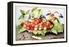 Dish of Cherries with a Bean and a Hornet-Giovanna Garzoni-Framed Stretched Canvas