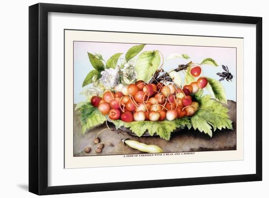 Dish of Cherries with a Bean and a Hornet-Giovanna Garzoni-Framed Art Print