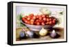 Dish of Cherries with Figs and Medlars-Giovanna Garzoni-Framed Stretched Canvas