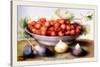 Dish of Cherries with Figs and Medlars-Giovanna Garzoni-Stretched Canvas