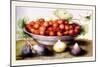 Dish of Cherries with Figs and Medlars-Giovanna Garzoni-Mounted Premium Giclee Print