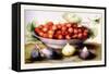 Dish of Cherries with Figs and Medlars-Giovanna Garzoni-Framed Stretched Canvas