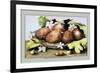 Dish of Figs with Jasmine and Small Pears-Giovanna Garzoni-Framed Art Print