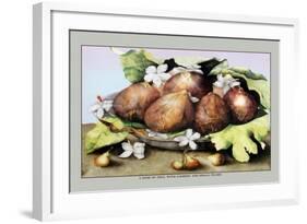 Dish of Figs with Jasmine and Small Pears-Giovanna Garzoni-Framed Art Print