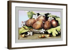 Dish of Figs with Jasmine and Small Pears-Giovanna Garzoni-Framed Art Print