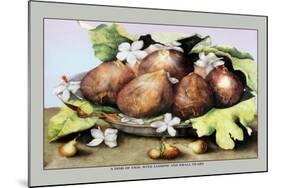 Dish of Figs with Jasmine and Small Pears-Giovanna Garzoni-Mounted Art Print