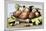 Dish of Figs with Jasmine and Small Pears-Giovanna Garzoni-Mounted Art Print