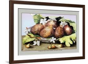 Dish of Figs with Jasmine and Small Pears-Giovanna Garzoni-Framed Premium Giclee Print