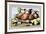 Dish of Figs with Jasmine and Small Pears-Giovanna Garzoni-Framed Premium Giclee Print