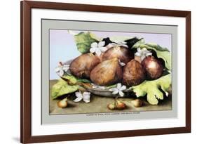 Dish of Figs with Jasmine and Small Pears-Giovanna Garzoni-Framed Premium Giclee Print